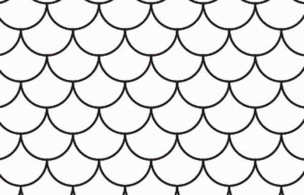 Fan / Scallop